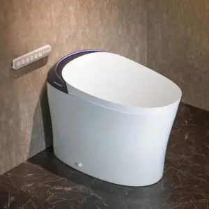 Image 1 of CANEST smart toilet review