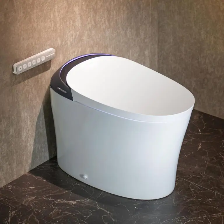 Image 1 of CANEST smart toilet review