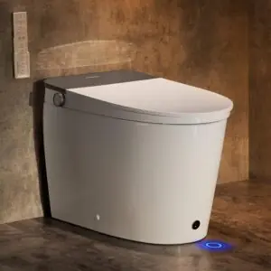 Image 1 of Casta Diva K030 smart toilet review