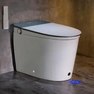 Image 1 of Casta Diva smart toilet review