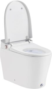 Image 1 of OVE Decors Clarke smart bidet review