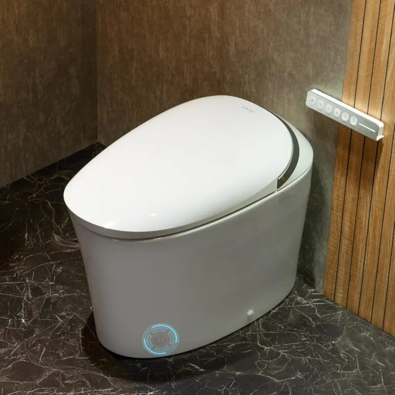 CANEST Smart Toilet Review: Honest Pros & Cons 45 Image 1 of CANEST smart toilet review