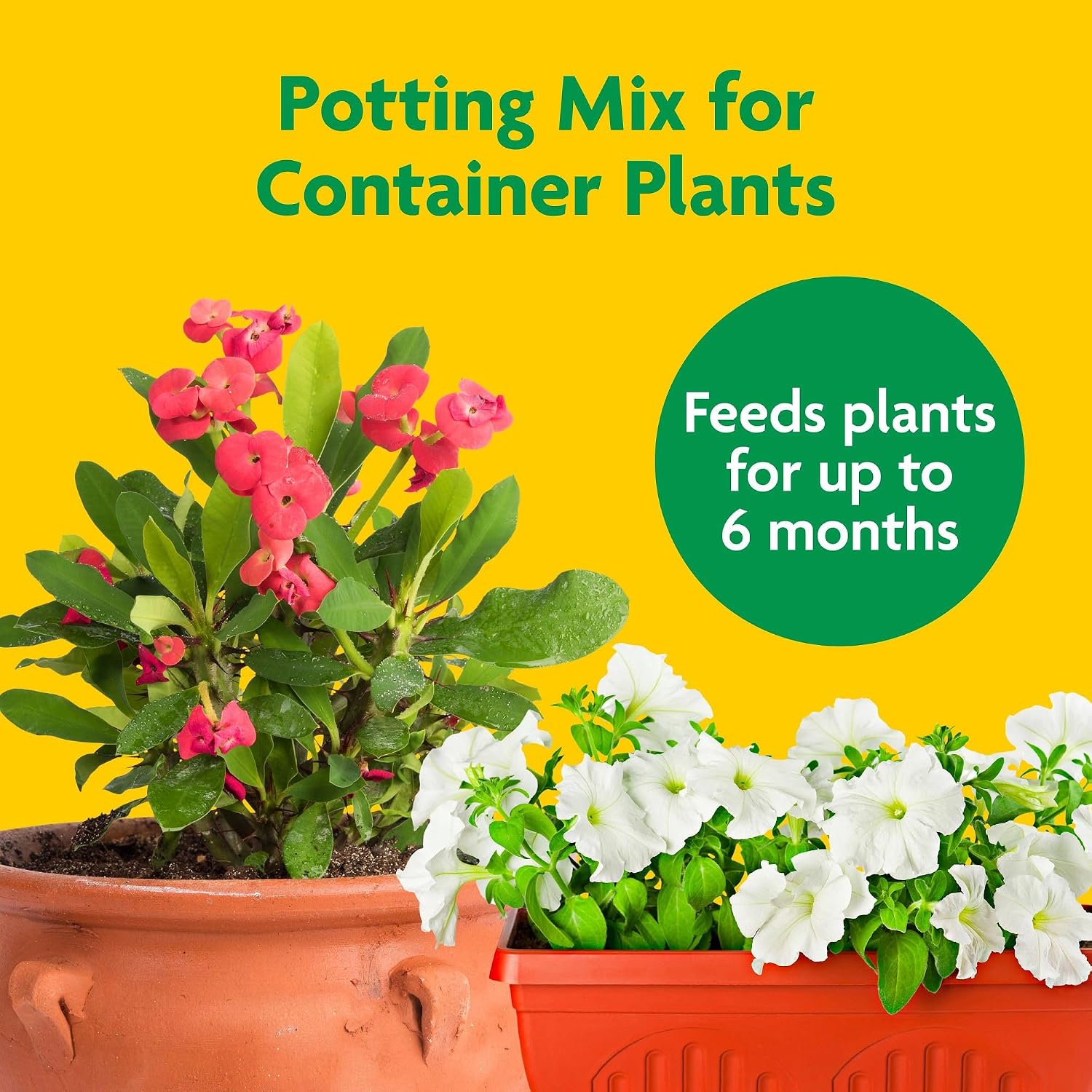Miracle-Gro Potting Mix Review: Honest Verdict & Pros Cons 2 Miracle-Gro Potting Mix review,Miracle-Gro Potting Mix review and rating,is Miracle-Gro Potting Mix worth buying,Miracle-Gro Potting Mix review pros cons,Miracle-Gro Potting Mix review honest opinion,Miracle-Gro Potting Mix review verdict — features that matter in real use